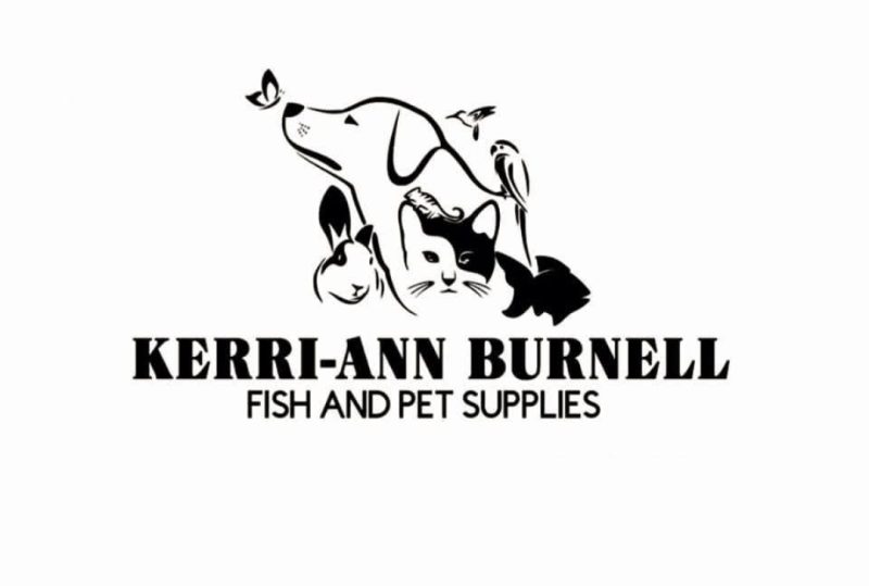 Kerri-Ann Burnell Fish and Pet Supplies